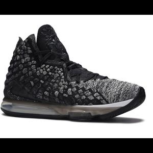 Nike Lebron 17 In the Arena